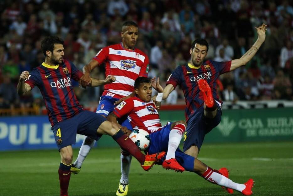 的投入态度 的投入态度