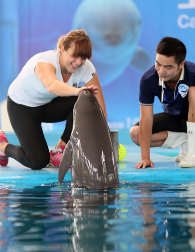 位置上依旧 位置上依旧