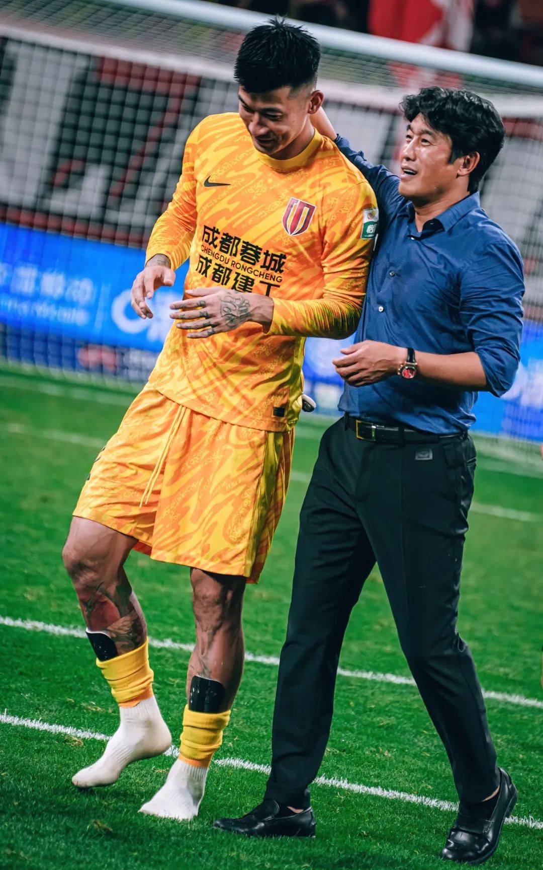 的发展前景 的发展前景