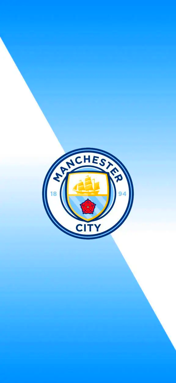 本场的胜负 本场的胜负